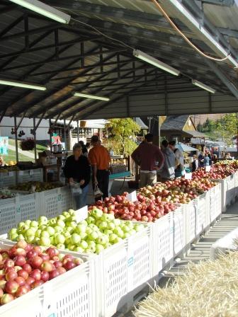 applebins_fall