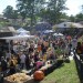 events_fall thumbnail