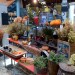 GC- fall decor thumbnail