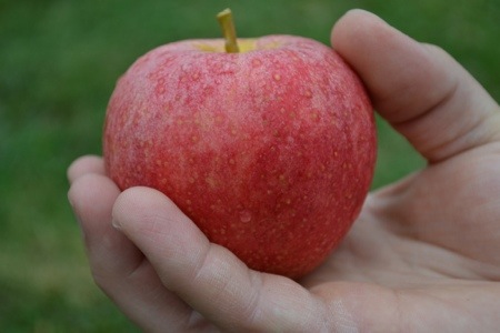 20120817-121131.jpg