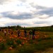 panoramic thumbnail