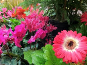 GC_flowers