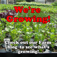 farm blog icon copy