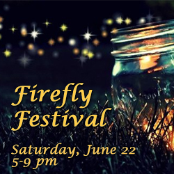 firefly festival icon copy